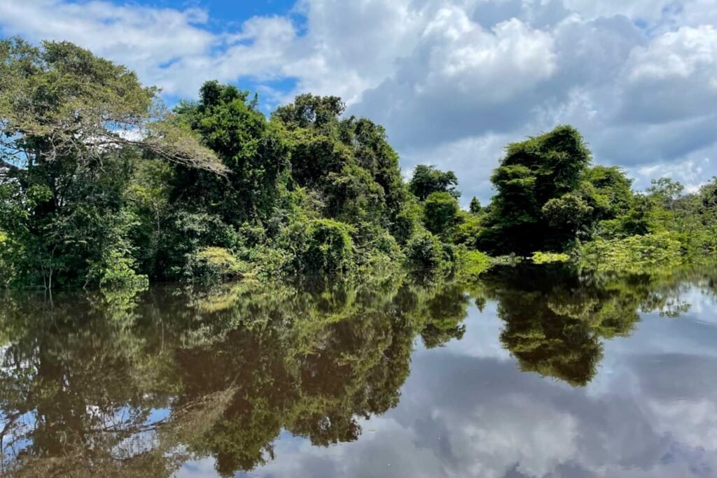 Reservas Extrativistas do Unini e Baixo Rio Branco – Jauaperi