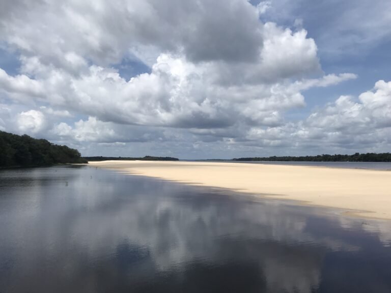 Rio Negro na seca