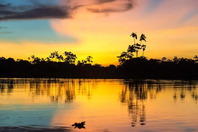 Amanhecer Amazonas