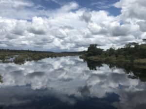 Amazonas - Paisagem Igarapé