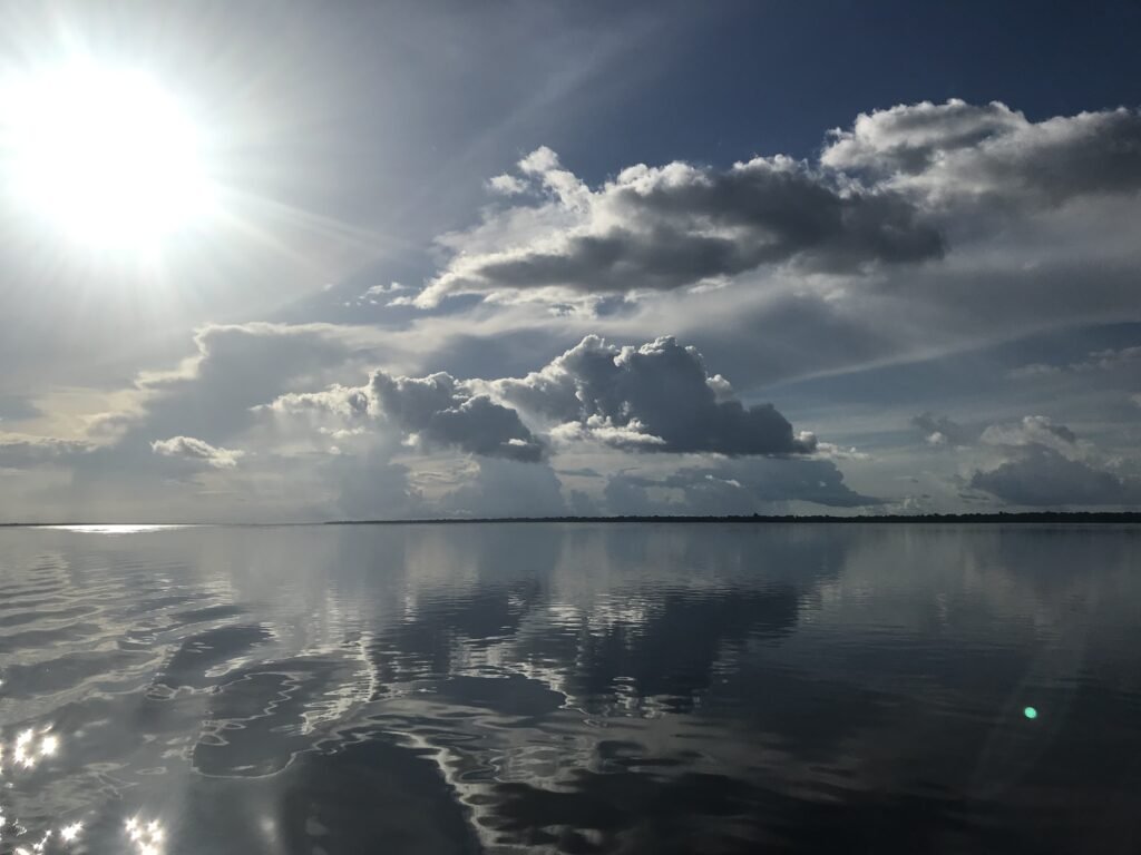 Paisagem Rio Negro