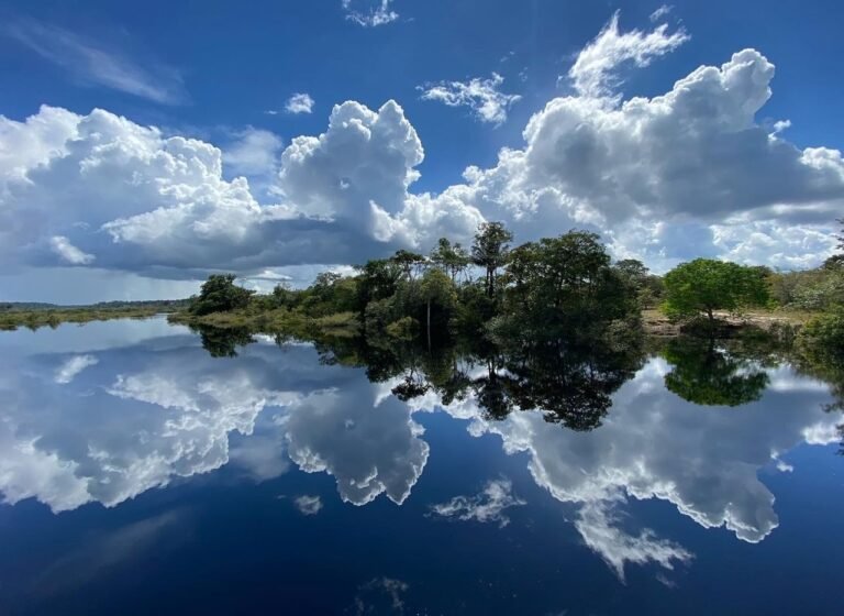 Paisagem rio Negro