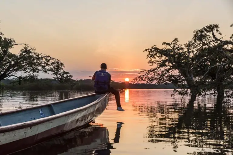 Por do sol Amazonas