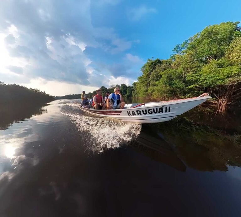 Passeio de observação nas Anavilhanas