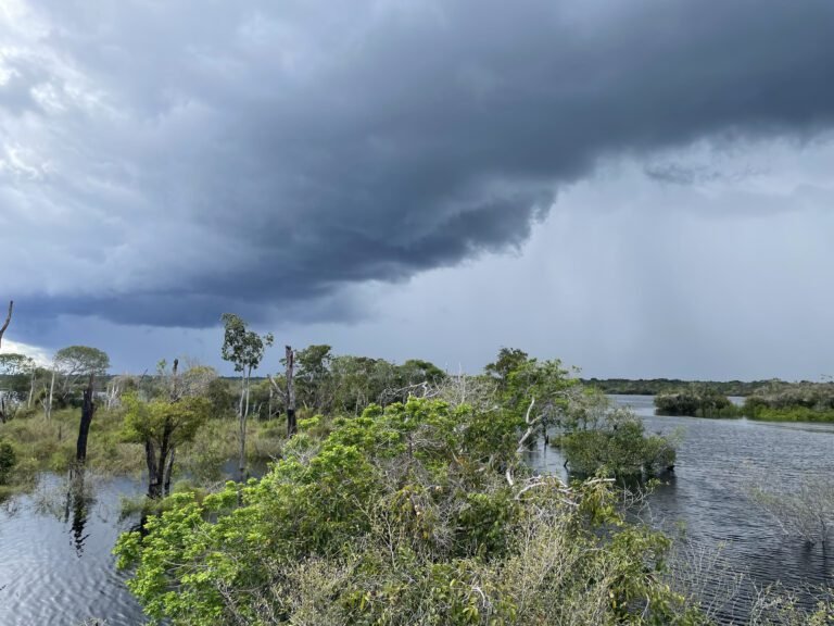 Rio Jaú